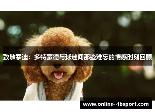 致敬泰迪：多特蒙德与球迷间那些难忘的情感时刻回顾